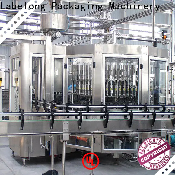 Labelong Packaging Machinery stable water filter plant machine price good looking for flavor water