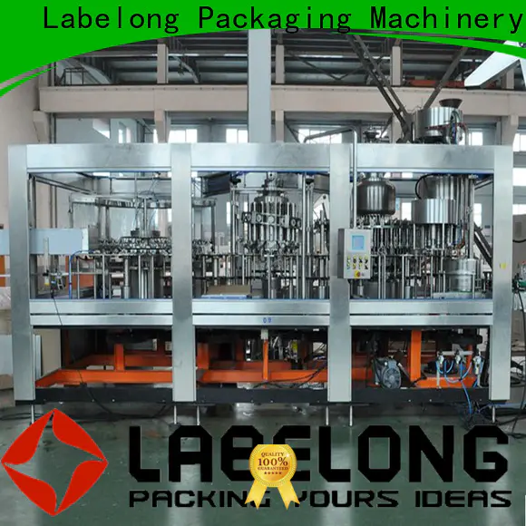Labelong Packaging Machinery superior water filter plant machine price easy opearting for wine