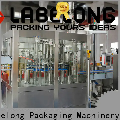 Labelong Packaging Machinery stable water bottling equipment easy opearting for mineral water, for sparkling water, for alcoholic drinks