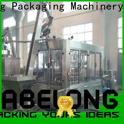 Labelong Packaging Machinery superior water bottling machine compact structed for mineral water, for sparkling water, for alcoholic drinks