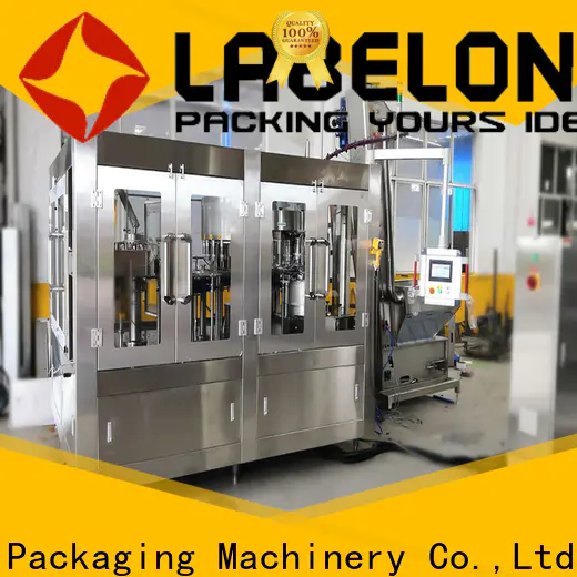 Labelong Packaging Machinery bottle filling machine price China for flavor water