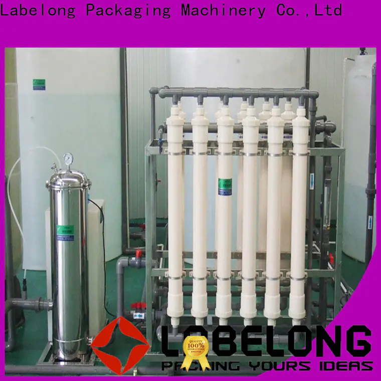 Labelong Packaging Machinery ro series water filtration ultra-filtration series for beverage’s water