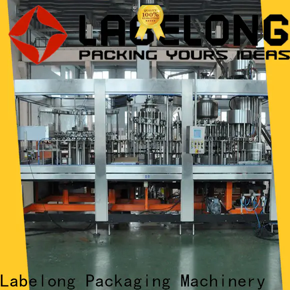 Labelong Packaging Machinery quality water pouch packing machine China for flavor water