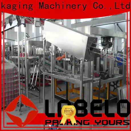 Labelong Packaging Machinery mineral water plant machinery for flavor water