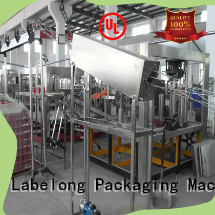 Labelong Packaging Machinery high quality bottle filling machinery for flavor water
