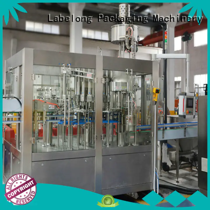 Labelong Packaging Machinery intelligent juice bottling machine good looking for still water