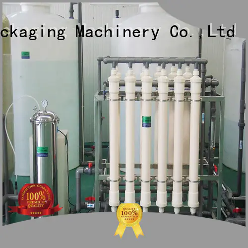 Labelong Packaging Machinery ro series water treatment machine embrane for mineral water